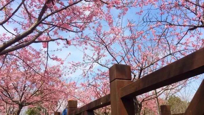 上海地铁沿线景点全部免费,上海地铁11号线上海赛车场