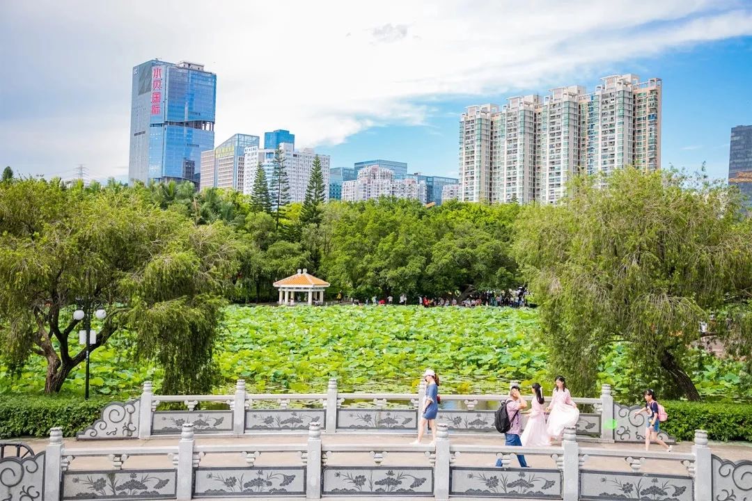 深圳3号线有哪些可以玩的,深圳7号线攻略