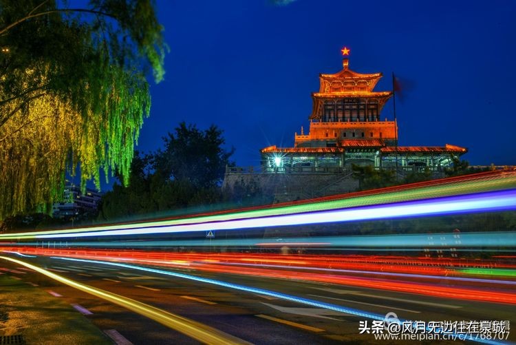 济南一颗梧桐树,济南的法国梧桐