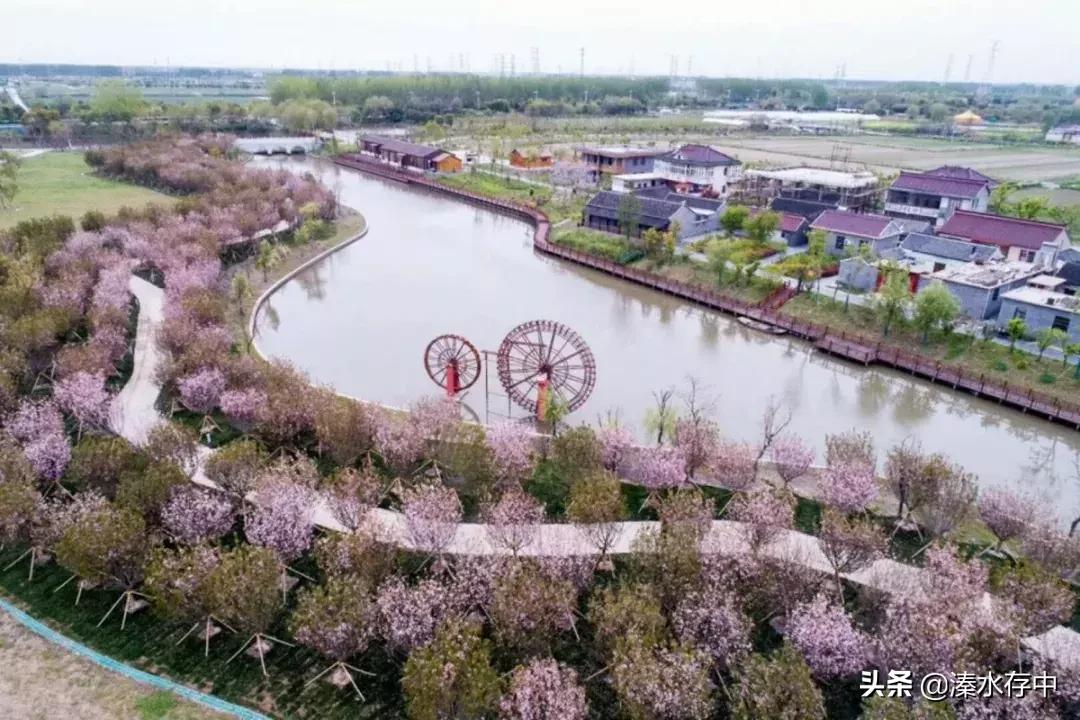 姜堰好吃又好玩的地方,56张美景图片大饱眼福