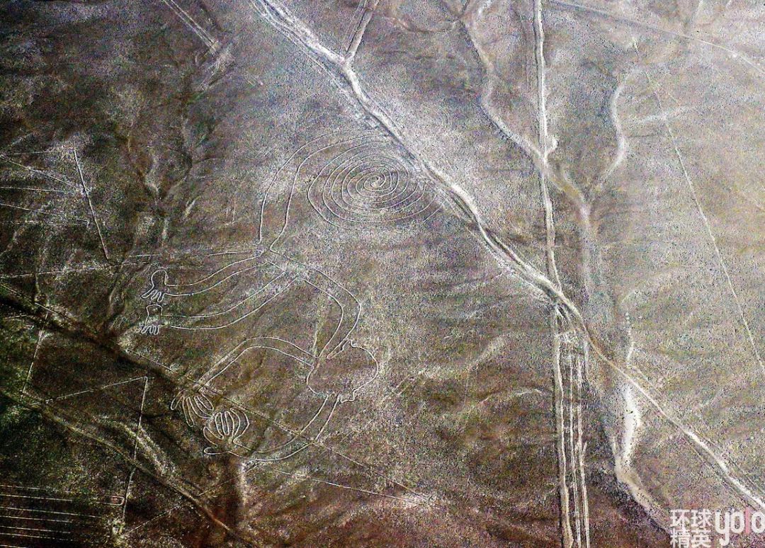 纳斯卡巨画之谜地点,秘鲁纳斯卡沙漠巨画