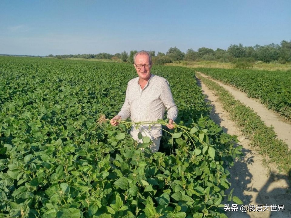 乌克兰赢下未来,乌克兰有机会反败为胜吗