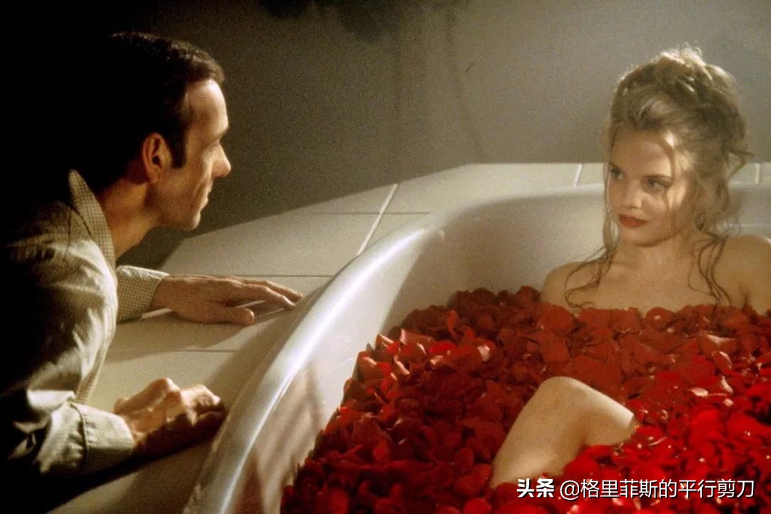 美国丽人风格,美国丽人美国风