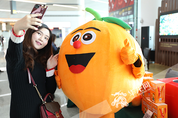 忠县忠橙,忠县柑橘网络营销模式