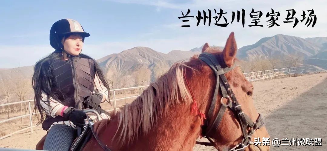 杏林湖黑天鹅,五一假期观光兰州