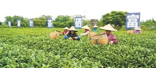 看完，会让你爱上桂平、感到自豪……