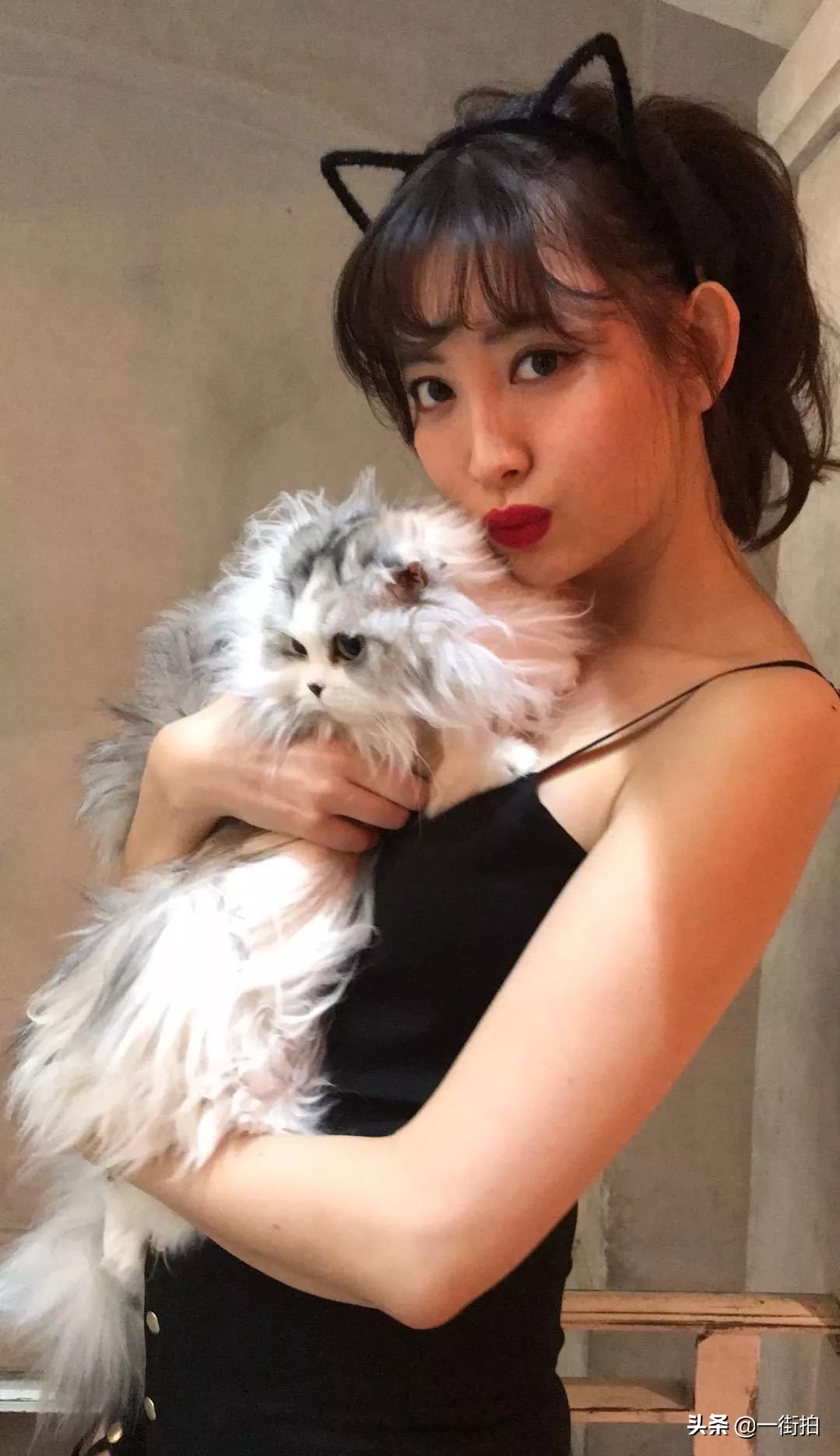 akb48小嶋阳菜前夜祭,akb48小嶋阳菜眨眼的视频