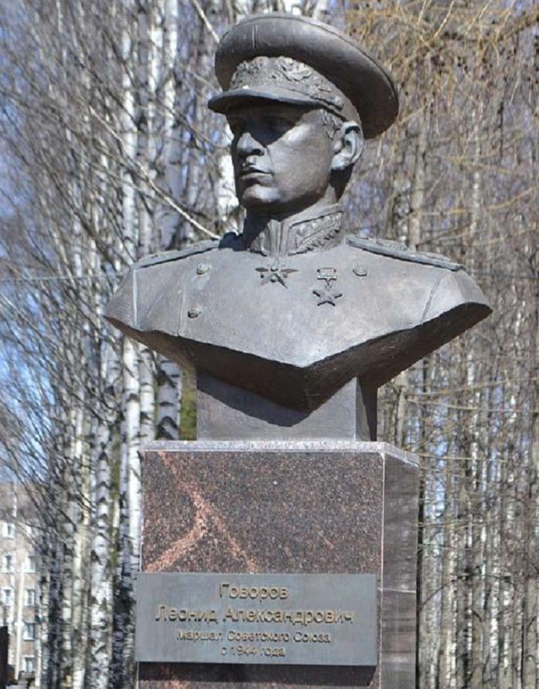 苏联元帅戈沃罗夫简介,戈沃洛夫苏联元帅