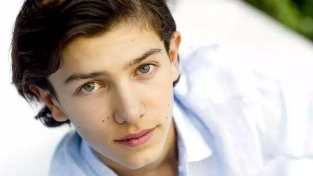 他是有中国血统的欧洲王子，父母离婚后，他只能在中国以走秀为生