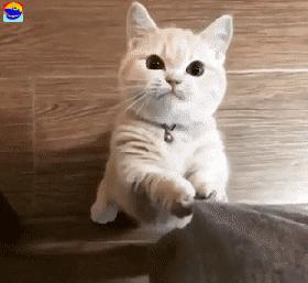 可爱搞笑图片可直接保存,搞笑图片现在的年轻妹纸真会玩啊