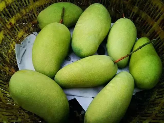 芒果好吃难挑选学会这个挑选技巧,买芒果买青色的好吗