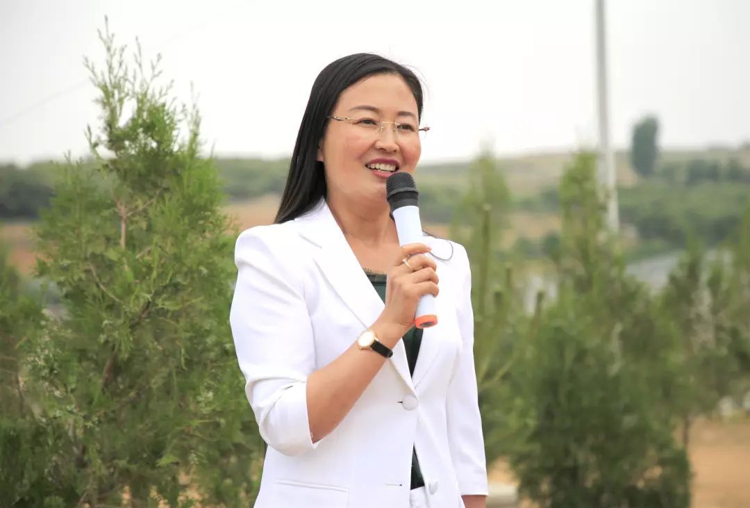 豌青茶业官方旗舰店,莒南县豌青茶业