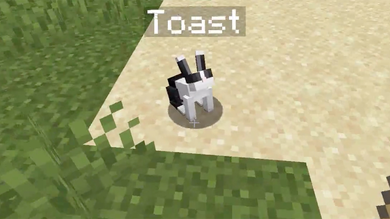 我的世界隐藏指令成功提示,我的世界如何用指令召唤巨型僵尸