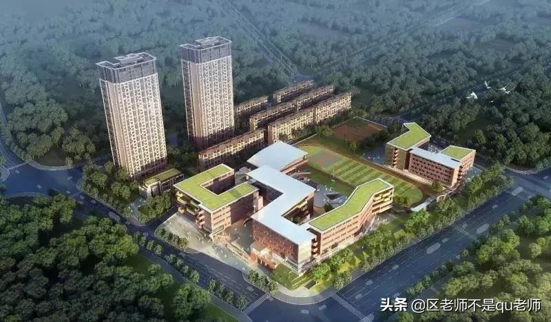 广州11区公办初中排名一览表,广州11中学