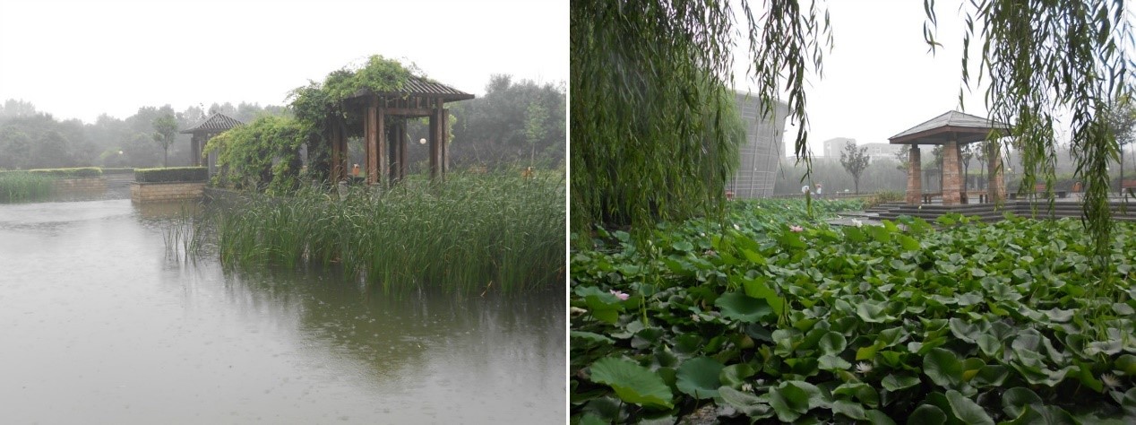 话说河师大最新消息,话说河师大