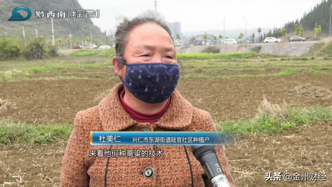 【电视版】兴仁农商银行：信贷支持高粱产业成就百姓致富梦