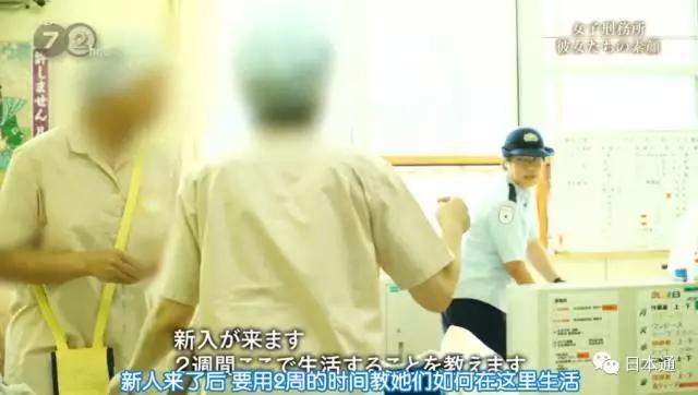 日本女子监狱解析,神秘的日本女子监狱
