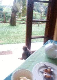 车贴幽默搞笑图片,车贴搞笑的图片