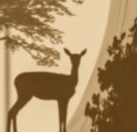 零成本适合下班后做的兼职副业,适合女生的副业兼职做什么好呢