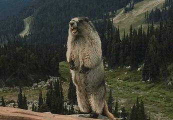 眼霜用杂牌有用吗,眼霜用了到底有没有效果