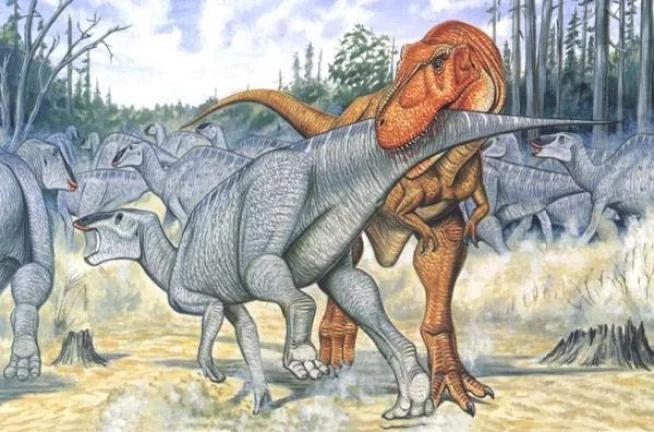 地球最大动物蓝鲸两百吨体重,地球最大的动物是什么动物