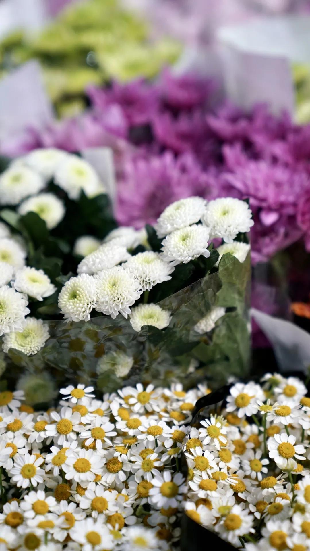乌鲁木齐花市在哪里光明路附近,乌鲁木齐的花市在哪里