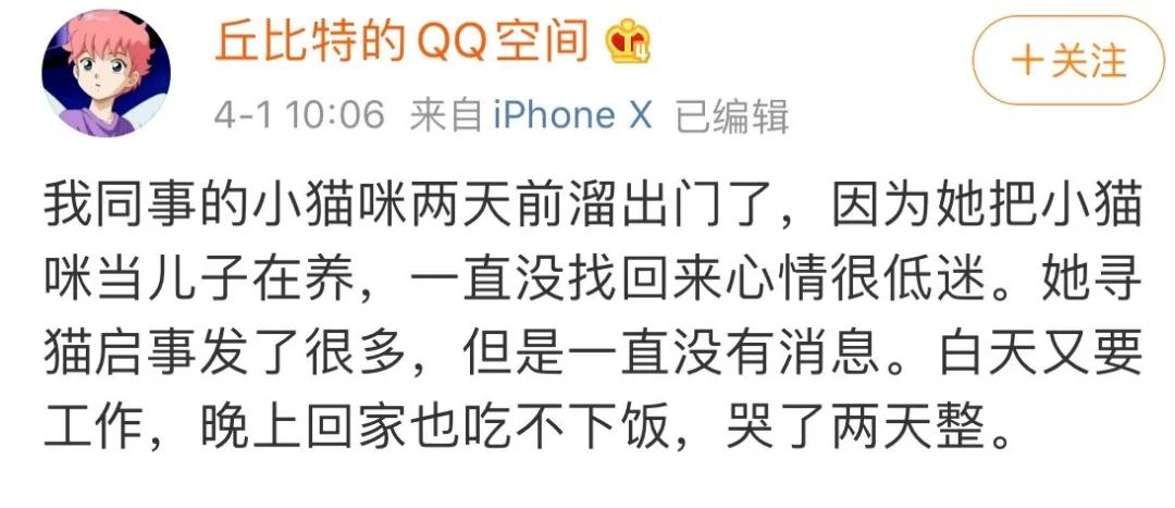 给我家猫新交了一个嘚瑟的朋友,我家猫送亲戚了准备再养一只猫