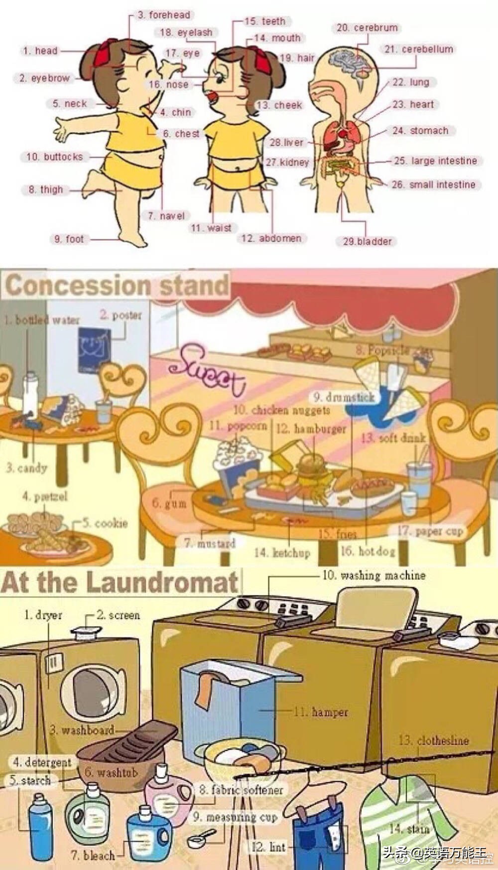 九宫格英语表达法,36张图记住所有物品的英语表达