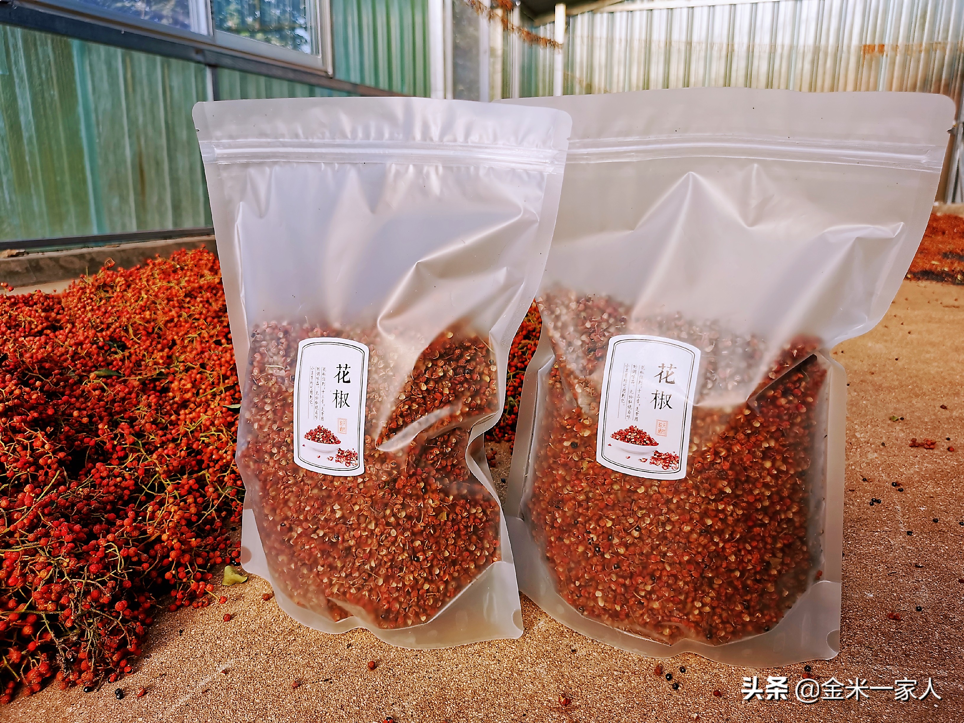 花椒好吃但是摘花椒也辛苦,教给大家采摘花椒的小技巧