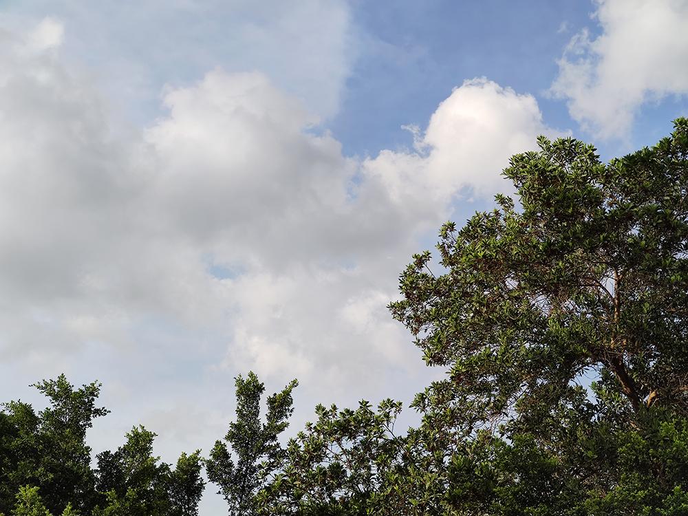 二手的小米10pro值得购买吗,小米10pro二手值得买吗