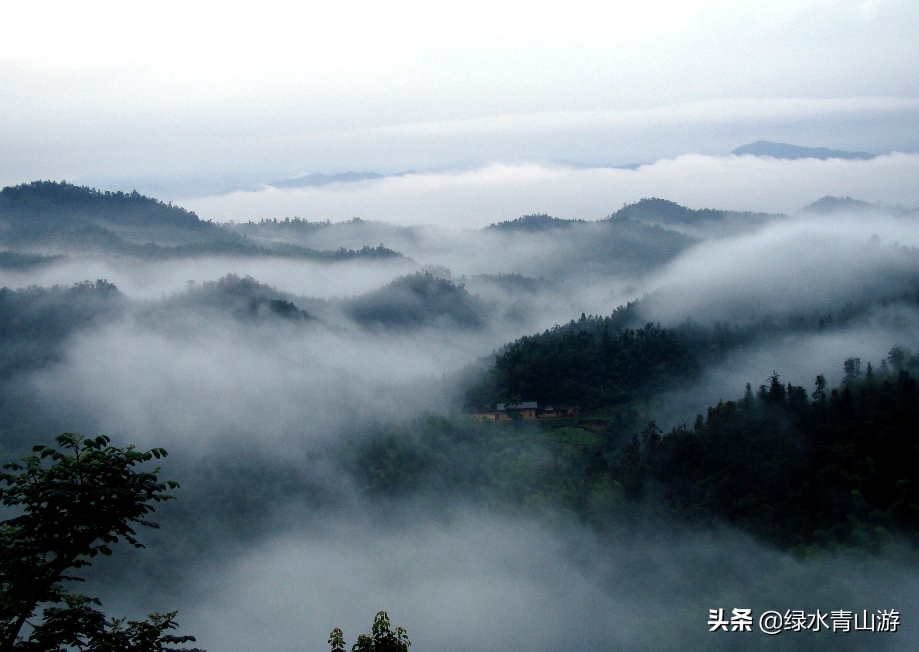 江西省铜鼓天柱峰景点,宜春铜鼓天柱峰景区全程多少里