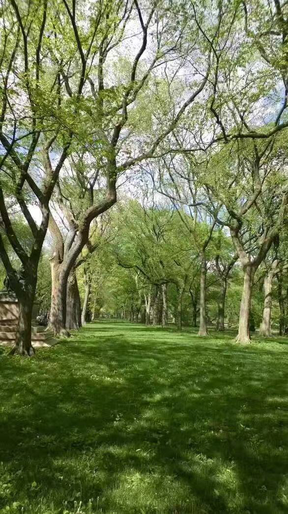 美国留学生活方便吗,美国留学生活的真实英语