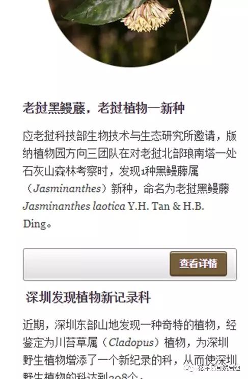 植物检索网站官网,植物检索表100种