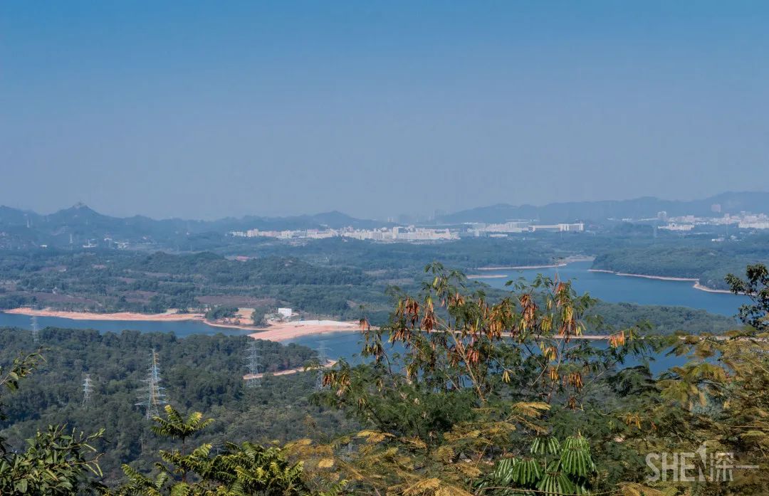 疫情期间免费开放的公园,疫情期间开放的公园有哪些