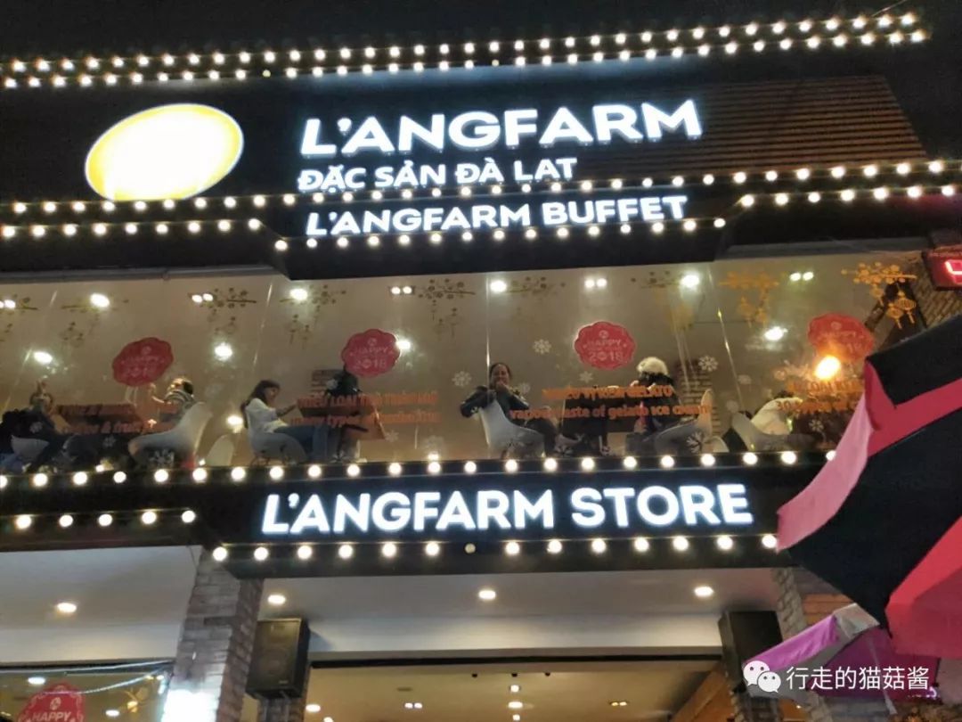 胡志明大叻美奈旅游攻略,越南胡志明美奈大叻地图