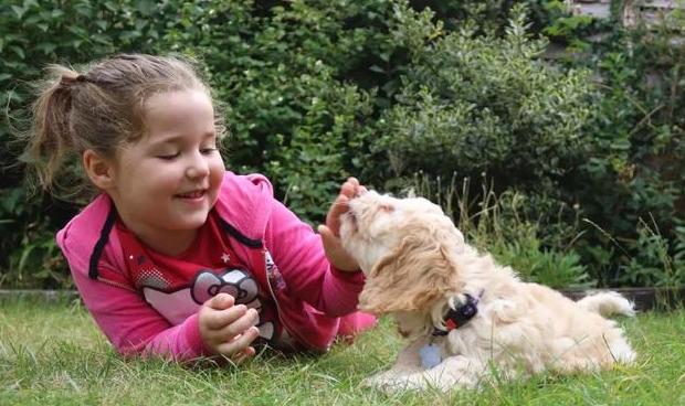 幼儿园的孩子攀比心理怎么办,幼儿园孩子爱攀比的原因