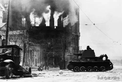 鍔涙尳鐙傛緶闈掑矝,鏌忔灄鎴樺焦娓╁厠灏嗗啗鑳藉惁鍔涙尳鐙傛緶