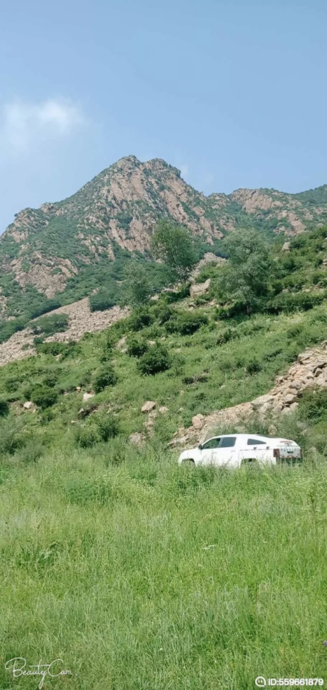 小说《*照门艳**事件》