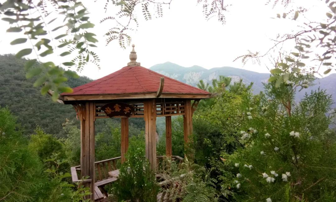 鑱氶緳灞辫幉鑺辨礊瑙嗛,姝﹀畨鑾茶姳娲炶仛榫欏北