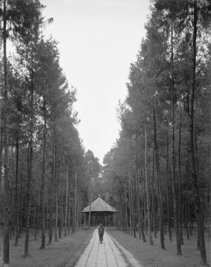 读城成都,读城记成都节选