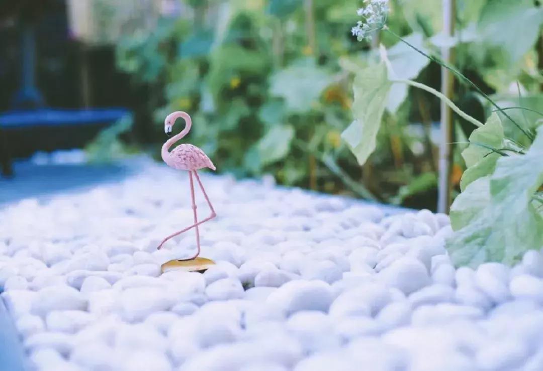 北京旅游酒店民宿推荐,北京周边吃住玩一体的民宿