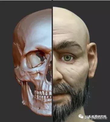 父系R1a人群系列——包括中国的楼兰人