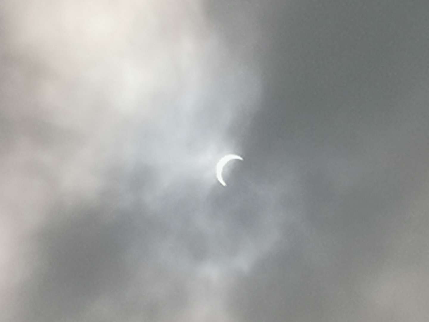 《中国诗歌周刊》2020年父亲节专刊（二）