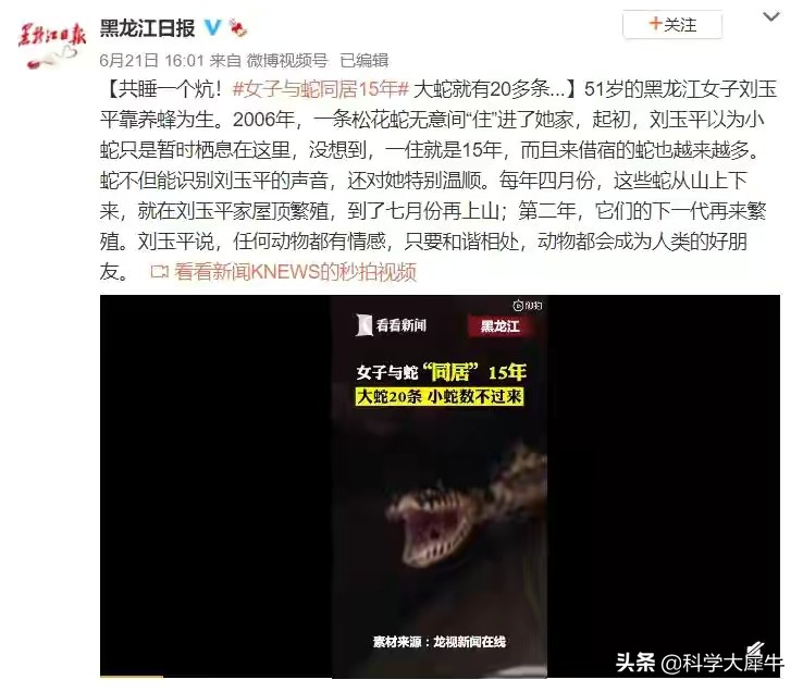 小狗大战七斤五步蛇被咬身亡,五步蛇有多毒?遇到毒蛇如何逃身?