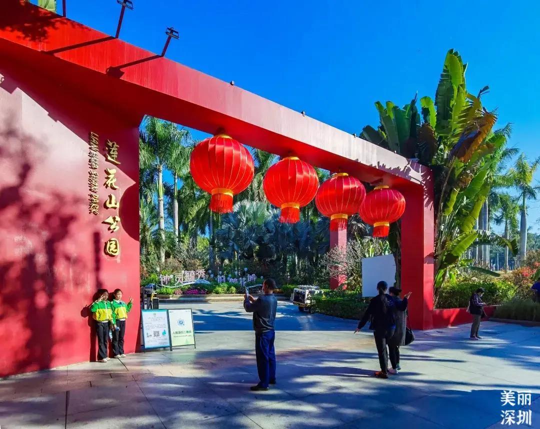 不离深也能“游”|公园超全攻略来了！千园之城，总有一款公园适合你