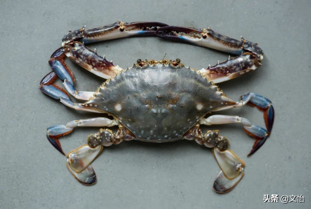 海蟹子干货,河蟹海蟹大闸蟹的区别