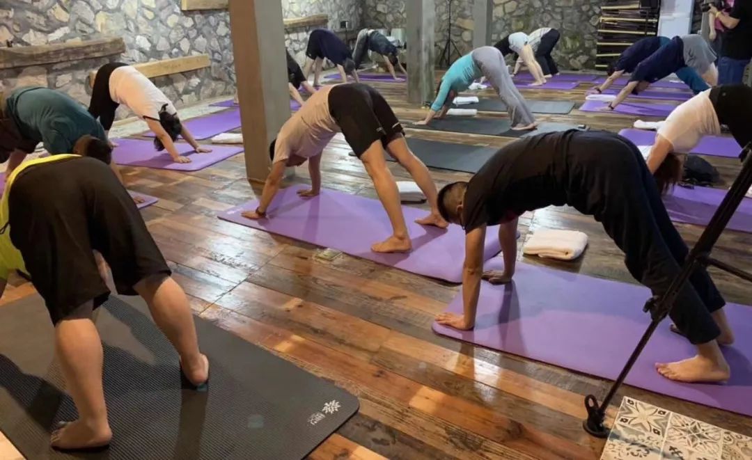 站点新闻|新站点首期会员活动“寻找菩提岛”之莫干山之旅