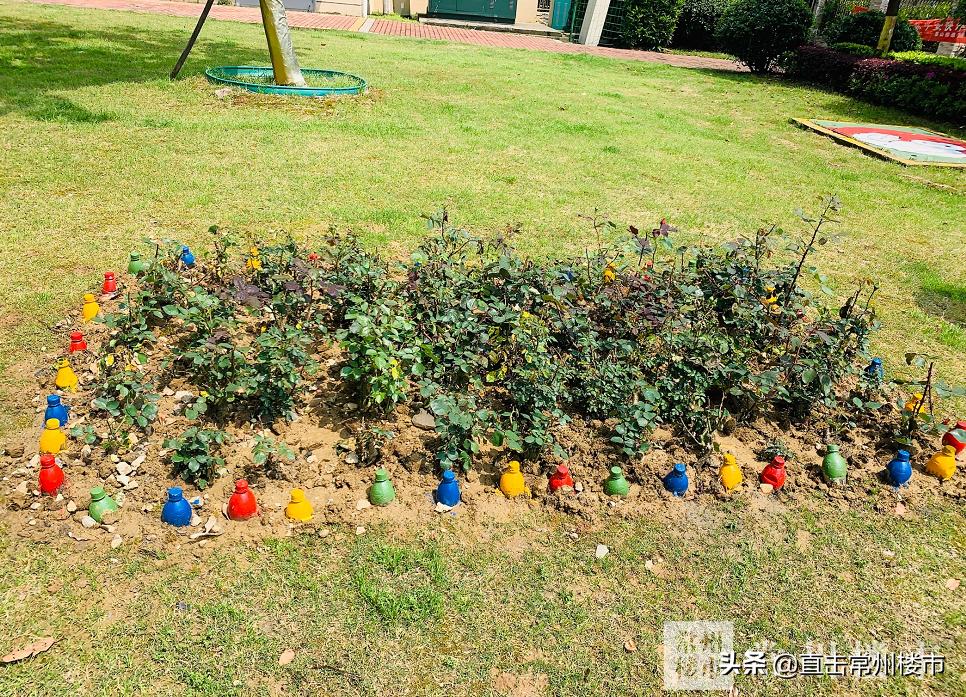 常州楼市最新行情走势,4年房价涨了60万