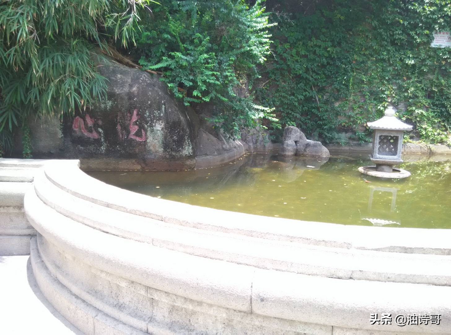 缘起五缘湾，那个爱钓鱼的懵懂少年