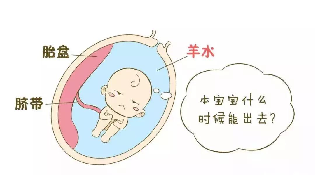 破水了准备去医院,破水了要准备什么